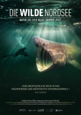 Filmplakat Die Wilde Nordsee - Natur, die sich nicht zähmen lässt